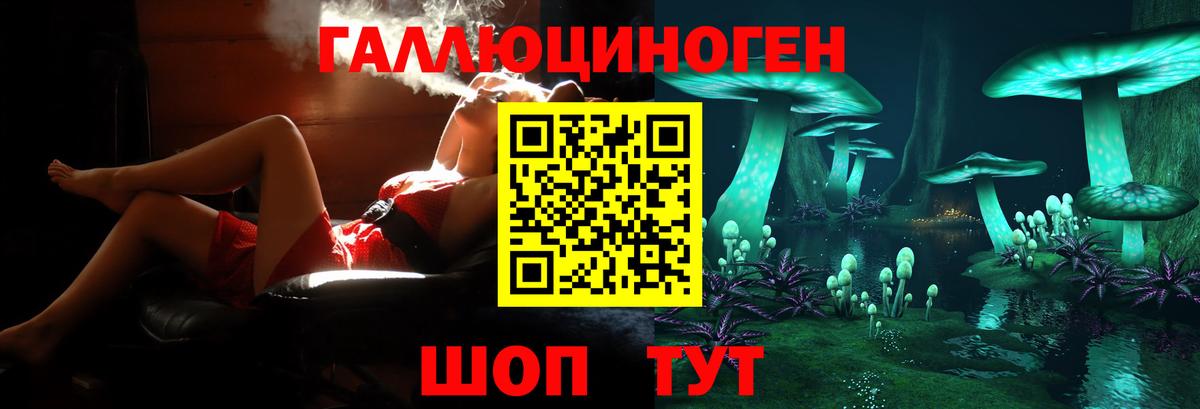 Камышлов  Галлюциногенные грибы Cubensis  Вход с VPN 